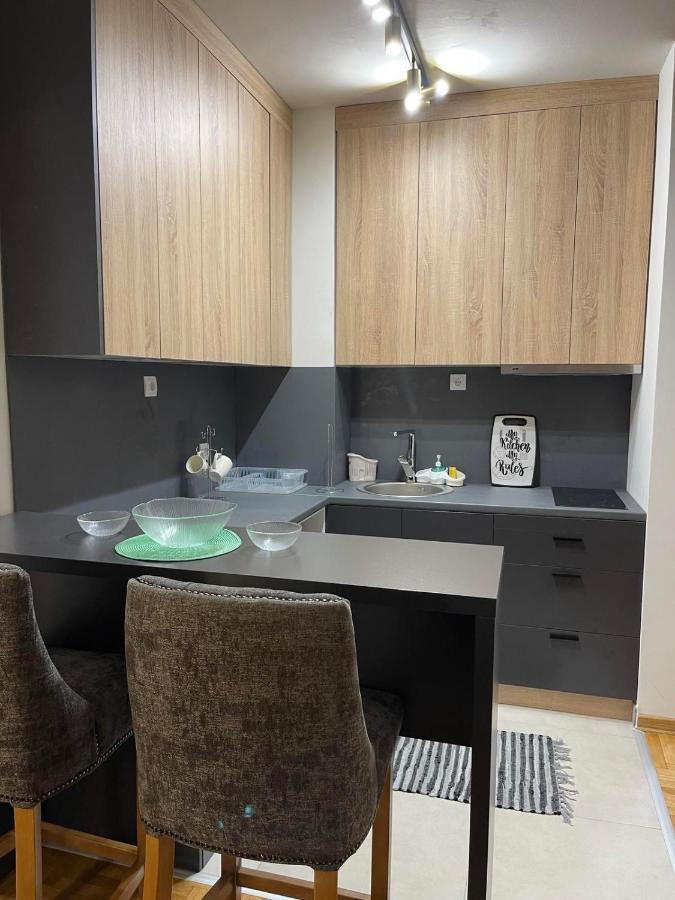 Vmaks Apartman Valentina Vodnika Daire Novi Sad Dış mekan fotoğraf